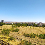 e35d190a-6141-4cf7-8ea4-a6f2f590b6f7