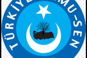 Screenshot_20241120_205004_Samsung Internet